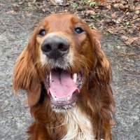 AstroBailey (@astrobailey69) 's Twitter Profile