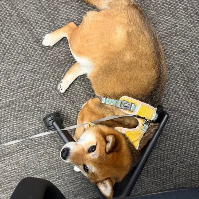 warrenさんのプロフィール画像
