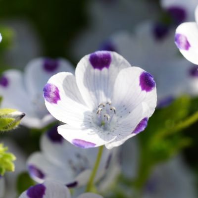 qcymeiwa's profile picture. 喜欢自然、山川漫游、美食。