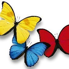 albate2k's profile picture. Economista, Tecnologo de Alimentos, Educador, Certificado en  sistemas, redes y comercio electrónico. 

La mejor oración es un buen comportamiento