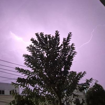 naIeyy23's profile picture. 