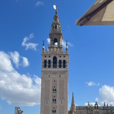 jajimbri's profile picture. 