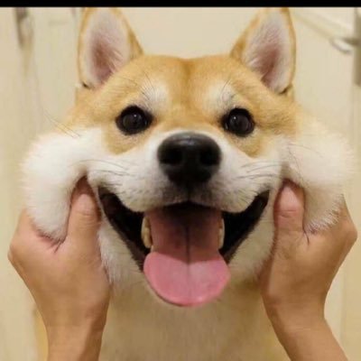 zhngtin47352524's profile picture. boy