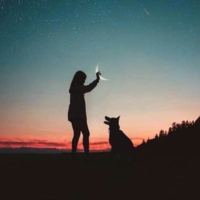 subeditor0's profile picture. 