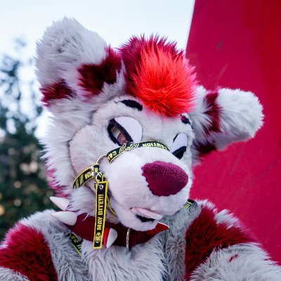 🩷 Waf❗ Arctic wolf 🐺
💅 Femboy Furry vibes and normal posts ✨
🐾 Pawbs | Rubberfur | Gamer/VRC 🎮
🇨🇵 French | Level 30 | He/Him
🏳️🌈 Bi