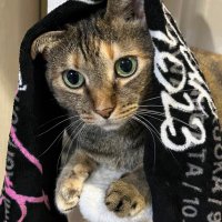 Ｙ (@v3bcpicbpy98222) 's Twitter Profile