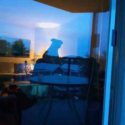 Brookemitclin's profile picture. I like Bitcoin 🫰🏼I like Memes 🫰🏼
I'm not affiliated with any TCG card companies.