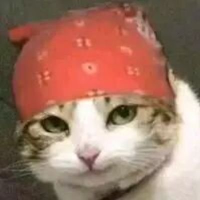 sunccxx's profile picture. 