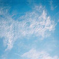 dw (@dw) 's Twitter Profile