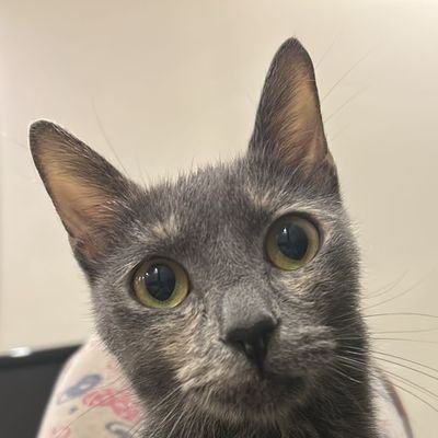 Cihanmehmet0105's profile picture. BEŞİKTAŞ//
içimizdeki insan sevgisi tükenmiştir//insanların kötükleri mermere,iyilikleride suya yazılır.