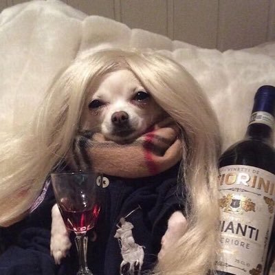 elaurelias23204's profile picture. 