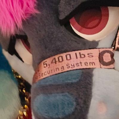 28 | They/Them | Cyber Security | IT | Leftist | Big Tail Haver | SFW w/Adult Topics | Minors DNI | Maker: @Firedog_Fursuit
| Banner: @ciderberries