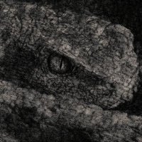 RAFF (@raf_flame) 's Twitter Profile