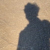 frΣak (@0xfreakfrank) 's Twitter Profile