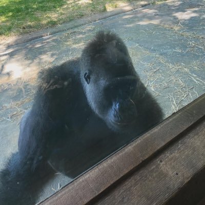 KellEbube's profile picture. if i follow u n u no follow back na ogun go kill ur papa