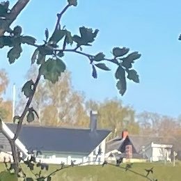 needsomefun04's profile picture. 