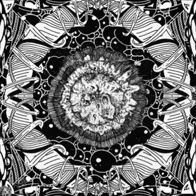 pleasedontstare Profile