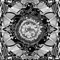 pleasedontstare (@pdsnftdotxyz) 's Twitter Profile Photo pleasedontstare (@pdsnftdotxyz) 's Twitter Profile Photo