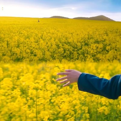 nidajaffar_'s profile picture. Hey it's me here again💀