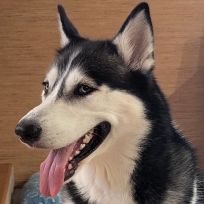 aj_hatch's profile picture. TCGs and NFTs!!

@AngryDynomites

@tacversetcg