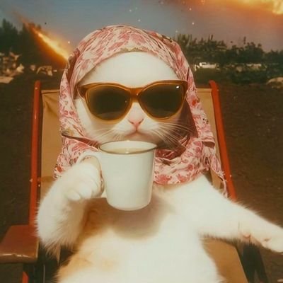 xvl_oq's profile picture. Nitrograph