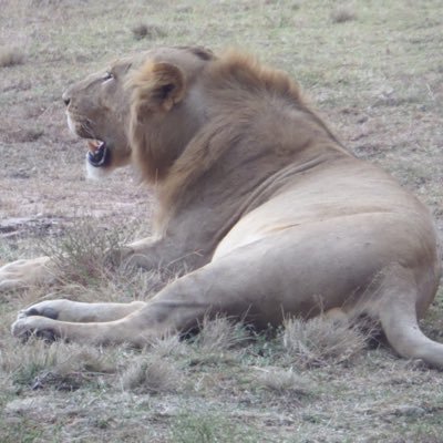 MedirattaSamay's profile picture. Sports enthusiast