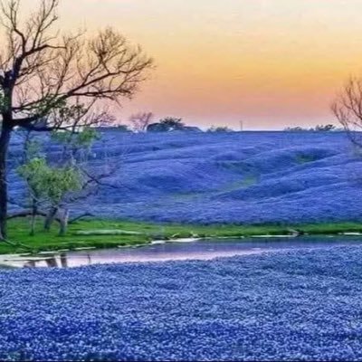 shwetak's profile picture. 