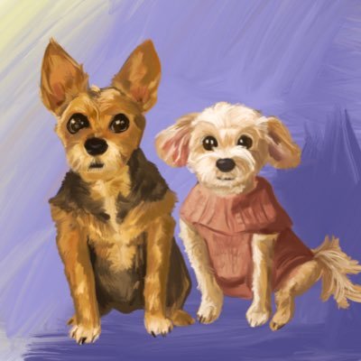 SilkcityJRodz7's profile picture. Fan of the New York Yankees 🐢, NY Jets, Brooklyn Nets. 🇵🇷