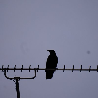 Если я не могу танцевать - это не моя революция.