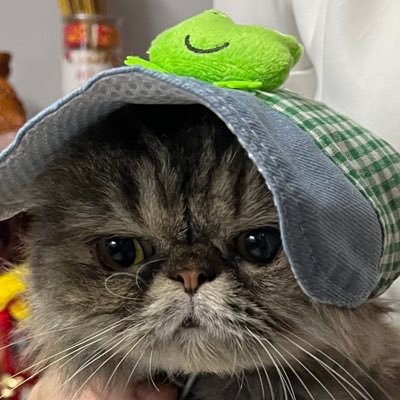 ziiさんのプロフィール画像