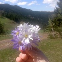 Meliha 🇹🇷 (@erdem09meliha) Twitter profile photo