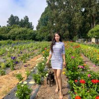 Linda (@jmh2020jmh) 's Twitter Profile