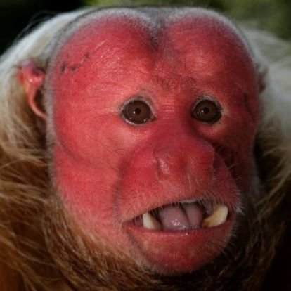 PaulTuc44199269's profile picture. crocodile castrator,tiger tamer,penguin herder.
Part time xxl condom model.