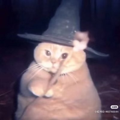 GPTTHx's profile picture. 