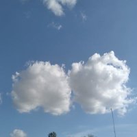 aminata. (@amiglitter11) 's Twitter Profile