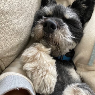 shelbysaidthat's profile picture. Mother, wife, seeking healing from cancer