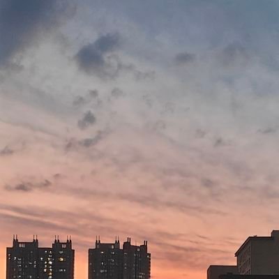 alon_7366's profile picture. 