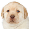 apaginaseria's profile picture. CS2 bunnyplayer | PROMO: DM |