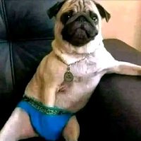 Michael Salamanca (@michaelsal52083) Twitter profile photo