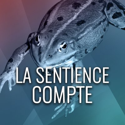 Théâtre, permaculture, zéro déchet,🌱
L'urgence c'est les émissions de CO₂
https://t.co/pCCIxDFDpR
https://t.co/9iqJePFniG