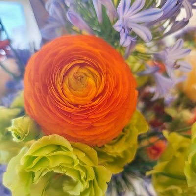 NoemisrGDL's profile picture. 