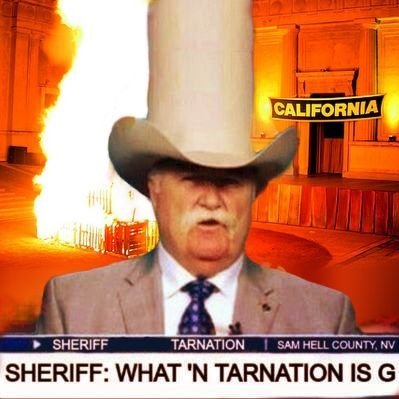 Wade 'n Tarnation (TAX TIPS) π€ π Profile