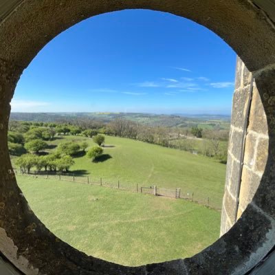 TwittingToMe's profile picture. 