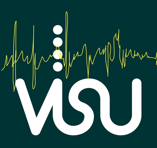 VISUDenmark's profile picture. Open up your summer!