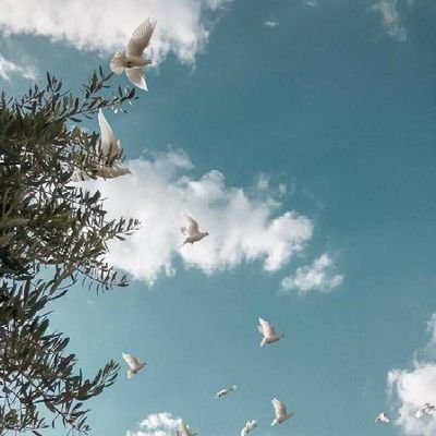 المصحف بصوتي  https://t.co/XK8fQVex0d 

https://t.co/wh8HKKy2wa