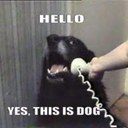 Dafydd Thomas - @dafydd_thomas - Twitter