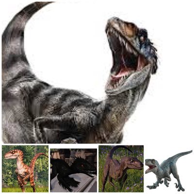 Blue the veleraptor is only the veleraptor is smart fast is a male age 19 #RP #parodyaccount \writer has autism ADHD / no drama