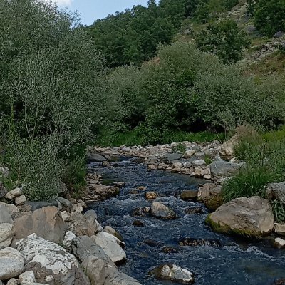 Musab_0011's profile picture. Sonunu düşünen,  kahraman olamaz...
    Şex Şamil