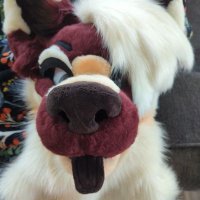 BB (@floofzmcgee) 's Twitter Profile Photo BB (@floofzmcgee) 's Twitter Profile Photo