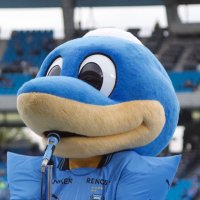 ぴの (@frontale_iove) 's Twitter Profile